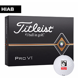 TITLEIST PRO V1 DOZEN GOLF BALLS (IN)