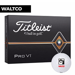 TITLEIST PRO V1 DOZEN GOLF BALLS (DS)